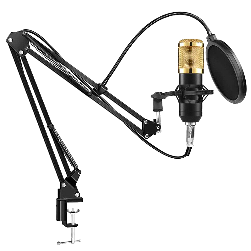 Микрофон YNMCE BM-800 Золото preOrder=30.08.2025