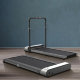 Беговая дорожка WalkingPad R1 Pro Серая - Изображение 137582