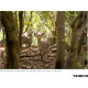 Объектив Tamron 70-180mm F2.8 Di III VXD E-mount - Изображение 252311