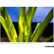 Объектив Tamron 28-200mm f/2.8-5.6 Di III RXD E-mount - Изображение 252327