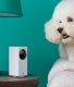 Камера Xiaomi MIJIA Smart Camera PTZ - Изображение 111055