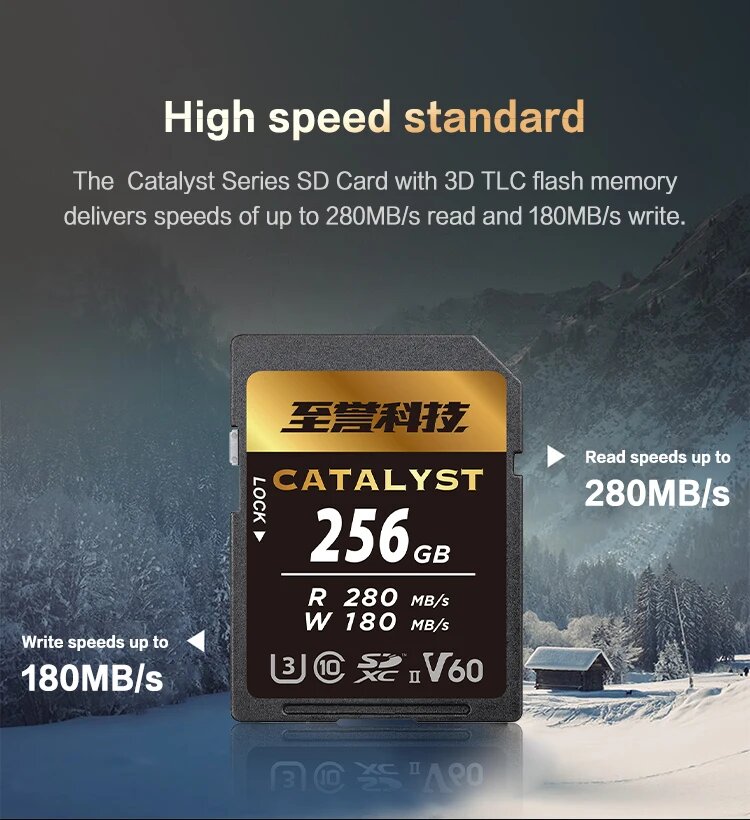 

Карта памяти Exascend Catalyst UHS-II SD V60 256GB EX256GSDV60
