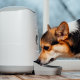 Умная кормушка Petoneer Nutri Feeder - Изображение 177591