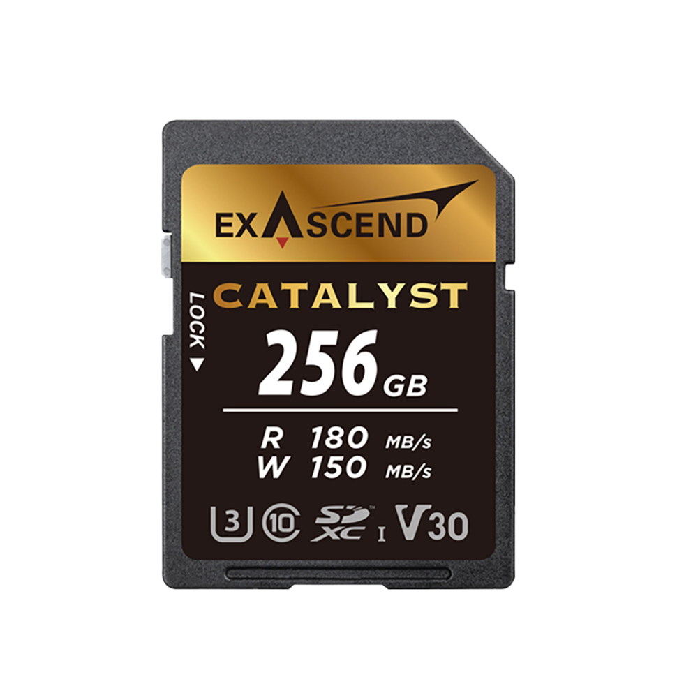 Карта памяти Exascend Catalyst UHS-I SD V30 256GB 