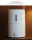 Увлажнитель воздуха Deerma Humidifier SJS100 - Изображение 141135