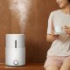 Увлажнитель воздуха Deerma Humidifier SJS100 - Изображение 141145