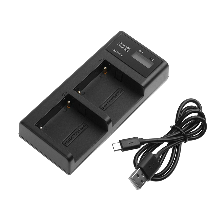 

Зарядное устройство GreenBean DualCharger NPF-C