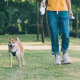 Поводок для собак Jordan & Judy Pet Retractable Rope PE042 - Изображение 166144