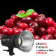 Осветитель Nicefoto HC-1000SB 5600K - Изображение 144730