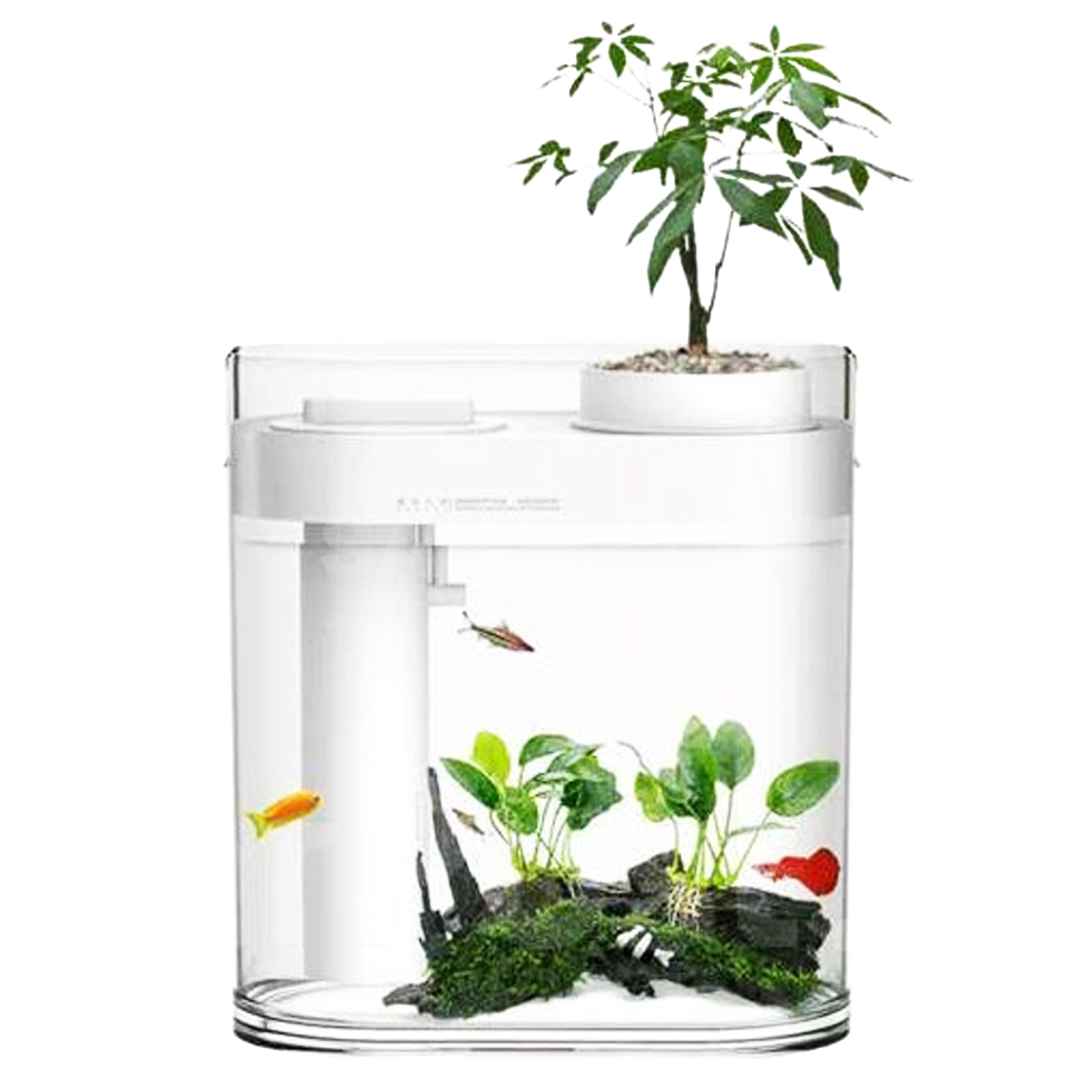 Аквариум Geometry Descriptive Amphibious Fish Tank Белый 