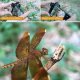 Объектив Ulanzi 75mm Macro для смартфона - Изображение 140552