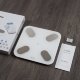Умные весы Picooc Mini Pro V2 Белые				 - Изображение 167835