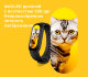 Фитнес браслет Xiaomi Mi Band 6 Чёрный - Изображение 169586