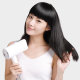Фен Zhibai Ion Hair Dryer Розовый - Изображение 114517
