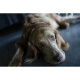 Беззеркальная камера Sony a7C II Kit 28-60mm f/4-5.6 - Изображение 261896