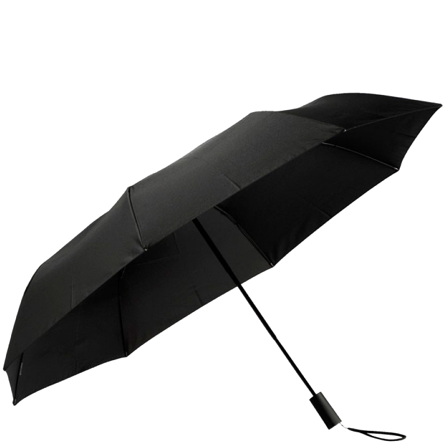Зонт Xiaomi Mijia Automatic Umbrella 