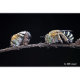Объектив TTArtisan 40mm F2.8 Macro M-mount - Изображение 173722