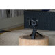 Беззеркальная камера Sony ZV-E10 II Kit (Sony E PZ 16-50mm f/3.5-5.6 OSS II) - Изображение 261503