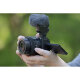 Беззеркальная камера Sony ZV-E10 II Kit (Sony E PZ 16-50mm f/3.5-5.6 OSS II) - Изображение 261508
