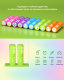 Комплект аккумуляторных батарей EBL Rainbow AA 2500mAh (10шт) - Изображение 186450
