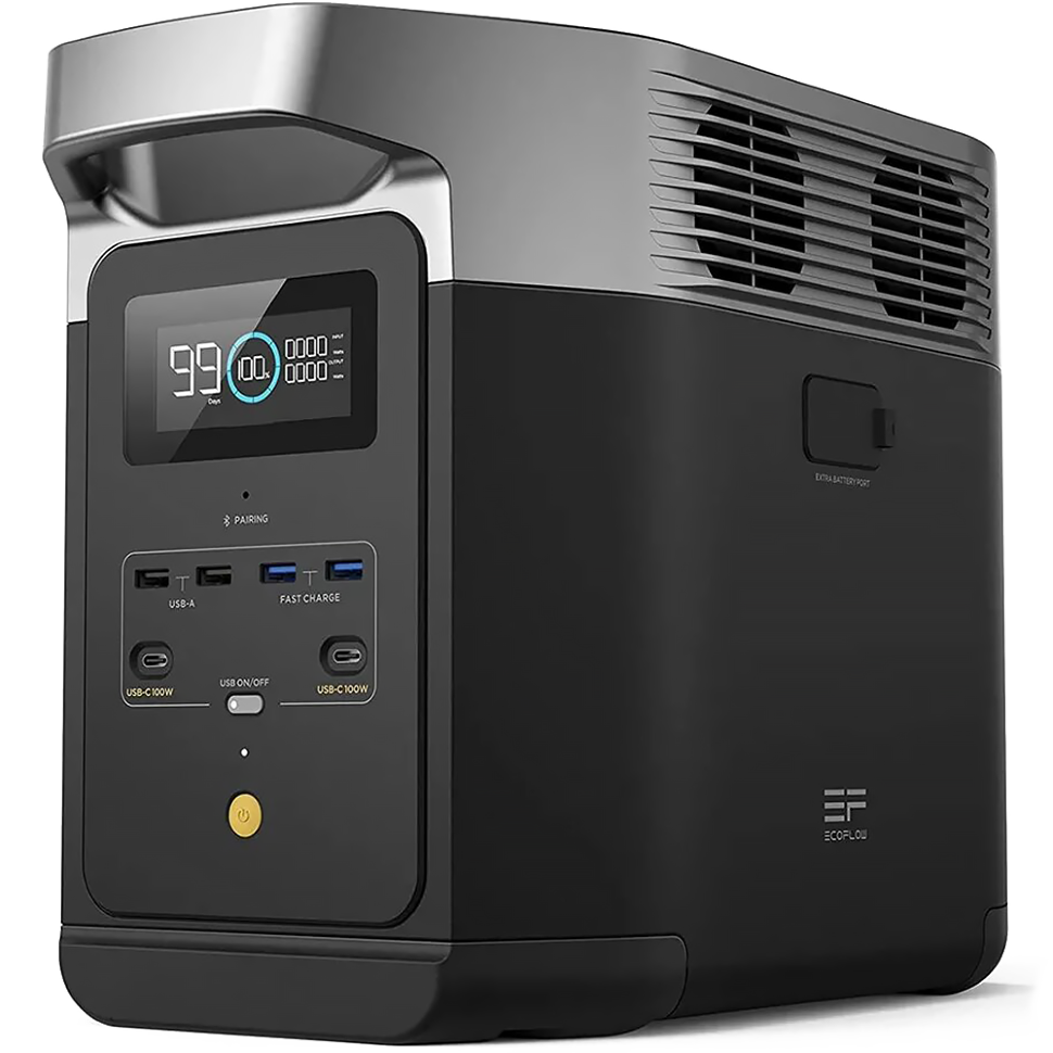 Портативная зарядная станция EcoFlow DELTA 2 1024Втч 