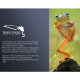 Осветитель DigitalFoto TREE FROG - Изображение 153259