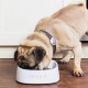 Миска весы Petkit Smart Weighing Bowl - Изображение 148558