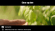Объектив Sirui Venus 75mm T2.9 1.6x Full-Frame Anamorphic L-mount - Изображение 185601