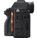 Беззеркальная камера Sony a7S III - Изображение 196423