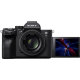 Беззеркальная камера Sony a7S III - Изображение 196429