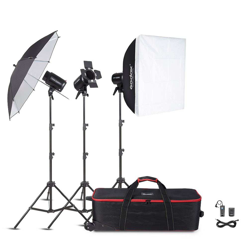 Комплект импульсного света Godox E250-D 