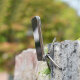 Подставка-штатив FotorGear MagSafe - Изображение 261219
