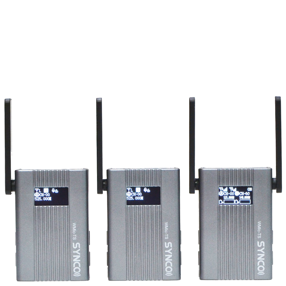 Радиосистема Synco Wmic-TS (RX+2TX) 