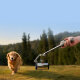 Стабилизатор DJI Osmo Mobile 8P - Изображение 295575