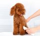 Машинка для стрижки животных Pawbby Pet Shaver - Изображение 164131