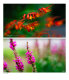 Объектив 7Artisans 50mm F0.95 E-Mount - Изображение 166373