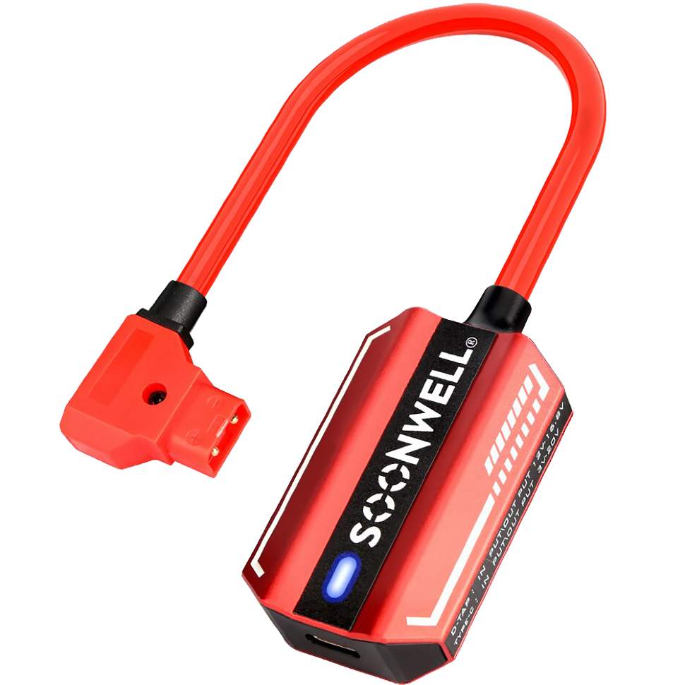 Адаптер SoonWell PD100 Type-C - D-Tap 